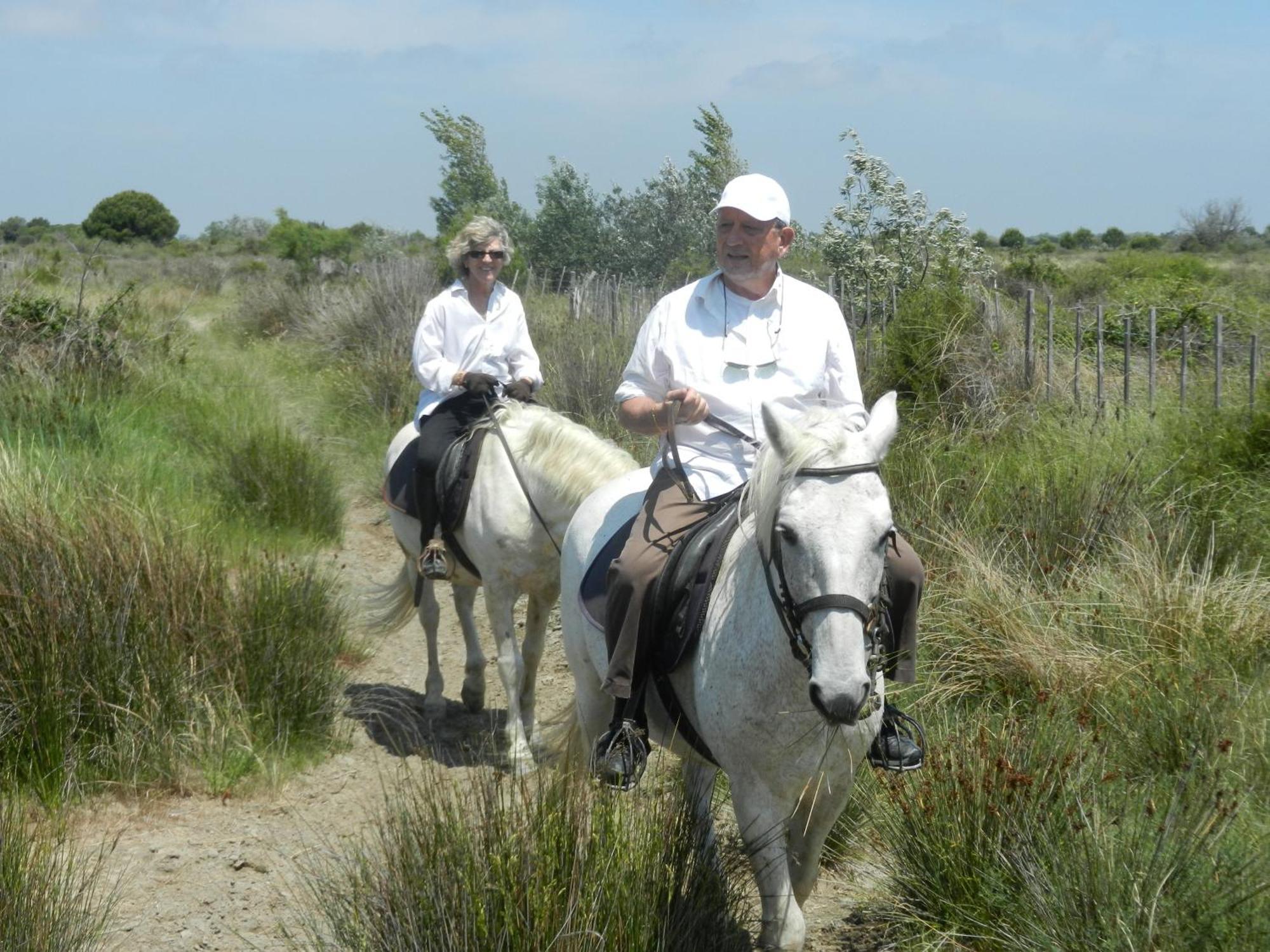 Mas De La Grenouillere Hotel Et Centre Equestre En Pleine Nature แซ็งต์-มารี-เดอ-ลา-แมร์ ภายนอก รูปภาพ